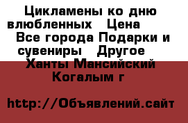 Цикламены ко дню влюбленных › Цена ­ 180 - Все города Подарки и сувениры » Другое   . Ханты-Мансийский,Когалым г.
